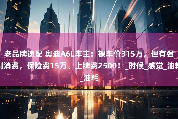 老品牌速配 奥迪A6L车主：裸车价315万，但有强制消费，保险费15万、上牌费2500！_时候_感觉_油耗
