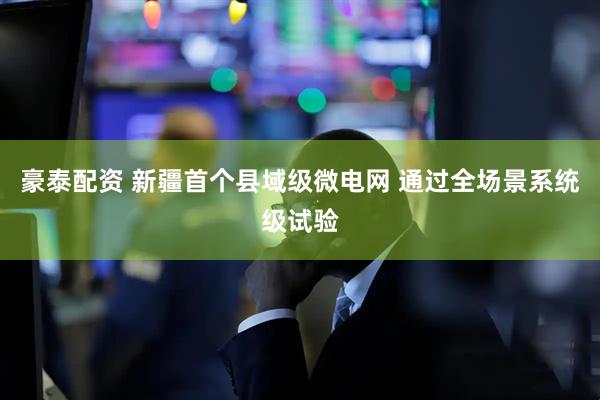 豪泰配资 新疆首个县域级微电网 通过全场景系统级试验